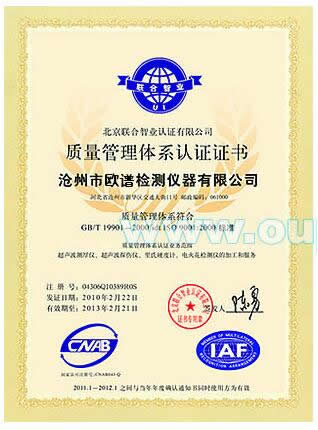 ISO9001质量管理中文